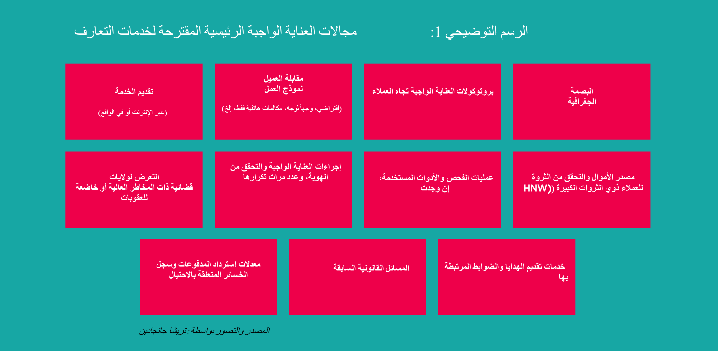الرسم التوضيحي 1:	مجالات العناية الواجبة الرئيسية المقترحة لخدمات التعارف