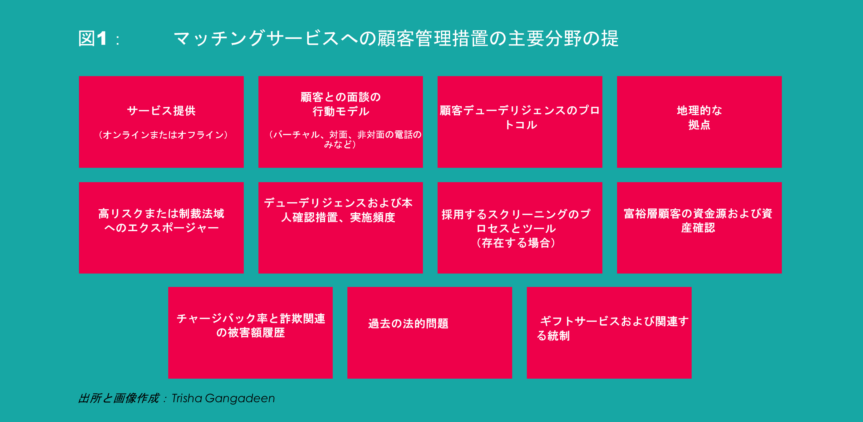 図1：	マッチングサービスへの顧客管理措置の主要分野の提案