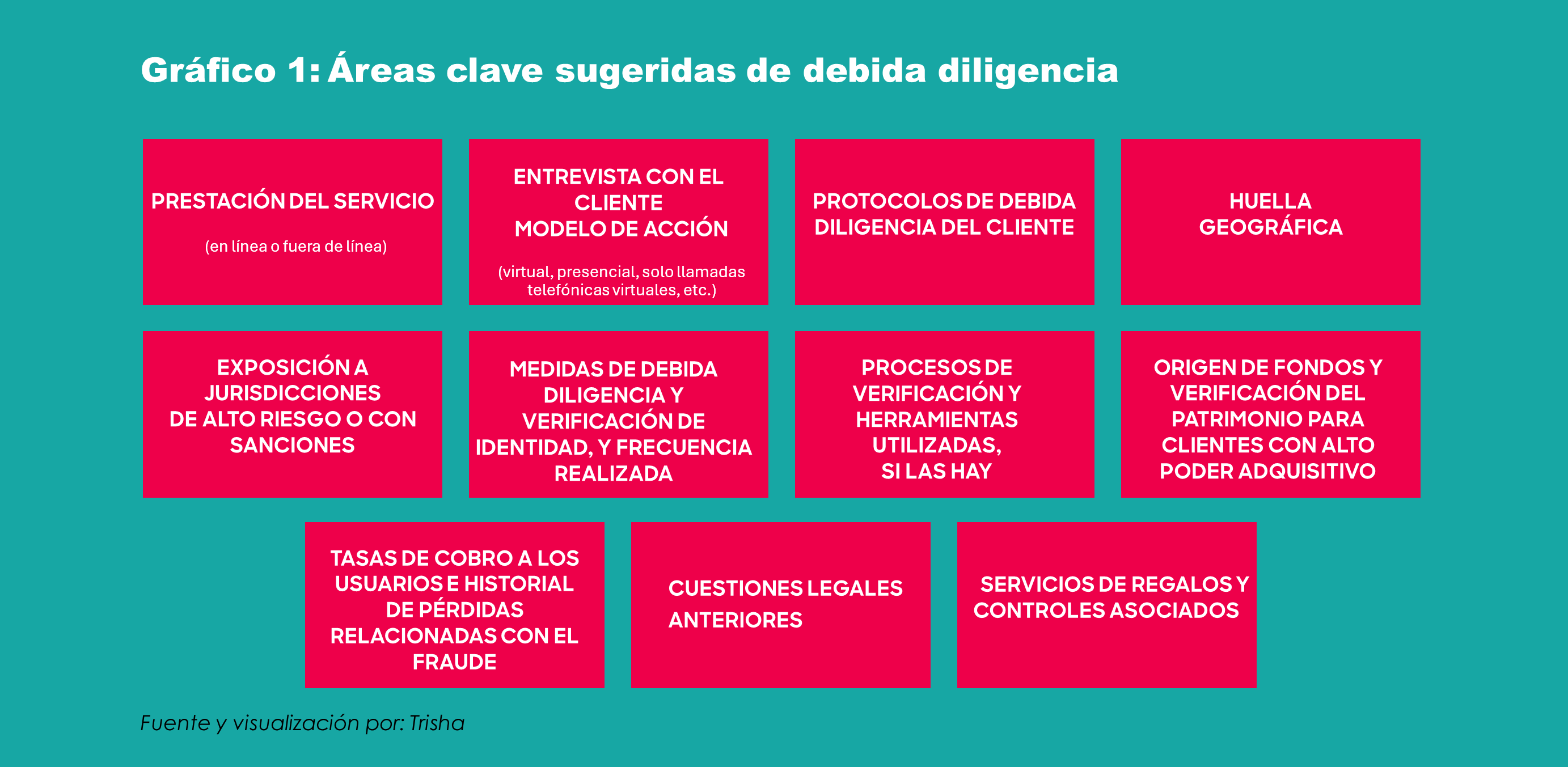 Grafico 1 Áreas clave sugeridas de debida diligencia para los servicios de búsqueda de pareja