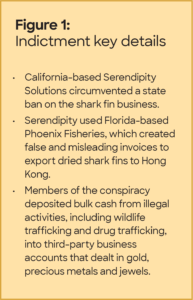 Figure 1: Indictment key details
