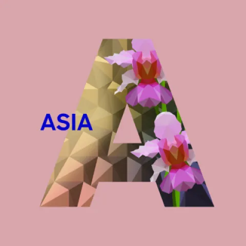 The Assembly ASIA - Thumbnail